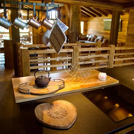 Dağ evi Grands Montets Chamonix